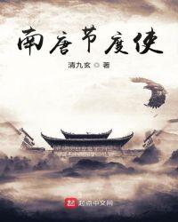 南宋 节度使