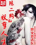 陈二狗的妖孽人生电视剧免费观看完整版
