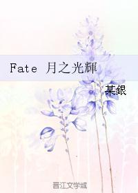 fate光辉之石