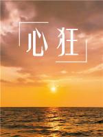 心狂by初禾讲的什么