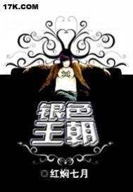 银色王朝导航