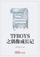 TFboys偶像日记