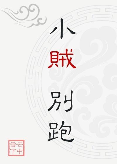 小贼，别跑